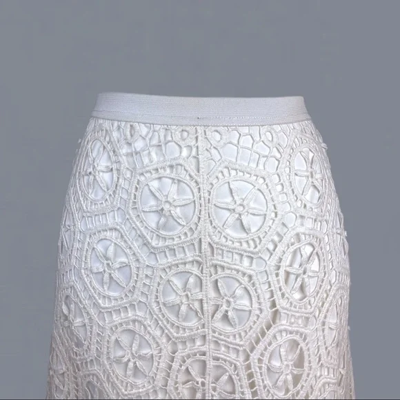 White Lace A-line Skirt - Picture 2 of 6